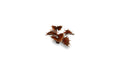 Gamers Grass Full Color Laser Cut Plants Alien Flytrap (52) Per Pack GGLP-AF