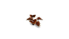 Gamers Grass Full Color Laser Cut Plants Alien Flytrap (52) Per Pack GGLP-AF