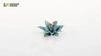 Gamers Grass Full Color Laser Cut Plants Blue Agave (69) Per Pack - GGLP-BA