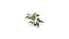 Gamers Grass Full Color Laser Cut Plants Lords-And-Ladies 103 Per Pack GGLP-LAL