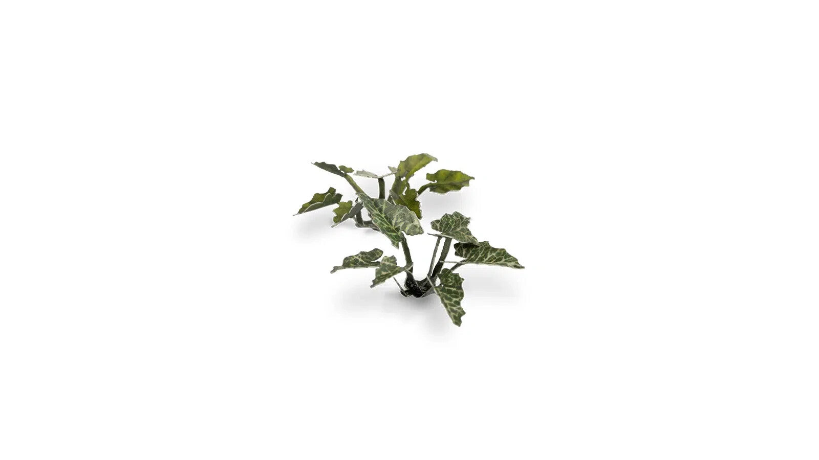 Gamers Grass Full Color Laser Cut Plants Lords-And-Ladies 103 Per Pack GGLP-LAL