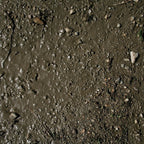 AK Interactive Diorama Series Terrains Wet Ground Acrylic 250ml Tub AK8016