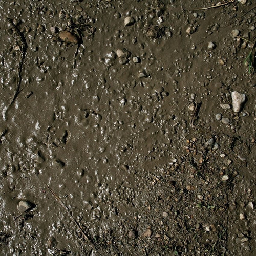 AK Interactive Diorama Series Terrains Wet Ground Acrylic 250ml Tub AK8016