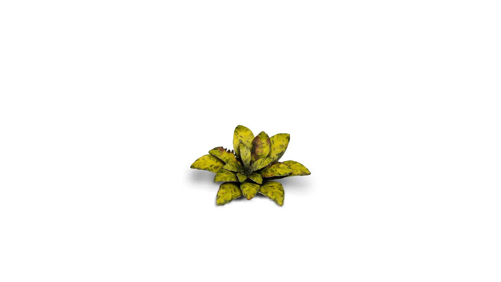 Gamers Grass Full Color Laser Cut Plants Dumb Cane For Bases 47 Per Pack GGLP-DC