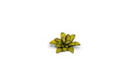Gamers Grass Full Color Laser Cut Plants Dumb Cane For Bases 47 Per Pack GGLP-DC