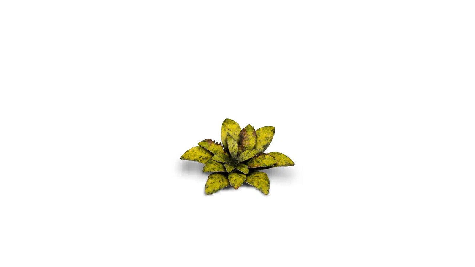 Gamers Grass Full Color Laser Cut Plants Dumb Cane For Bases 47 Per Pack GGLP-DC