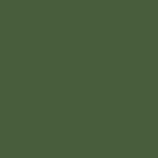 Mission Models Premium Hobby Paints Russian Green Modern 30ml Bottle (MMP - 032)