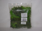 Javis Countryside Scenics Bulk Pack Of Green Lichen - JBULKG