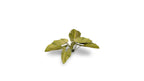 Gamers Grass Full Color Laser Cut Plants Elephant Ear (51) Per Pack GGLP-EE