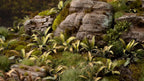 Gamers Grass Full Color Laser Cut Plants Deer Fern For Bases 38 Per Pack GGLP-DF