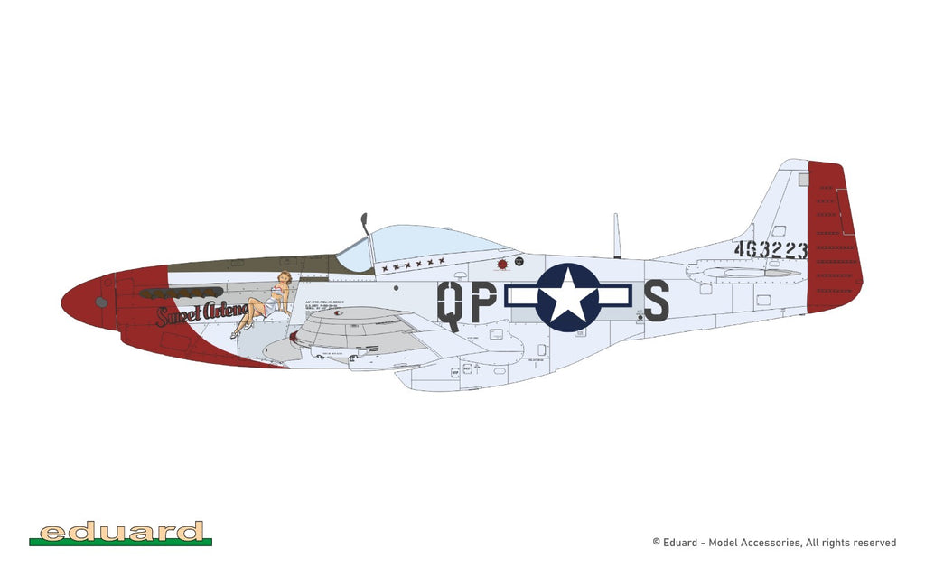 Eduard 1:48 P-51D Mustang Mighty Eighth 65th Fighter Wing Limited Edition 11196
