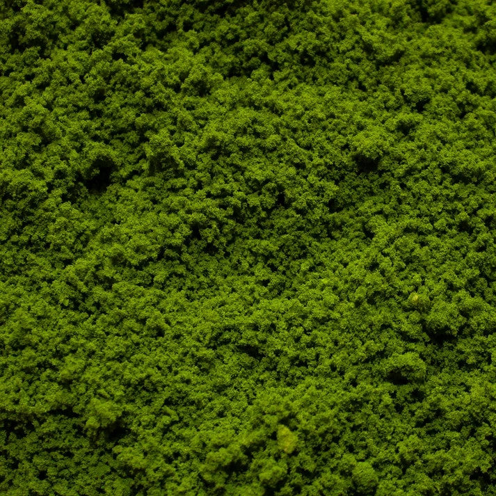 Geek Gaming Scenics Rainforest Canopy Coarse Modeling Flock 300ml - GCF-RC-300