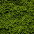 Geek Gaming Scenics Rainforest Canopy Coarse Modeling Flock 300ml - GCF-RC-300