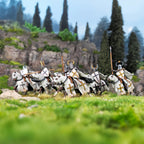 Victrix Medieval Knights 28mm Hard Plastic Teutonic Knights (Ordensstaat) VXM005