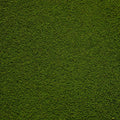 Geek Gaming Scenics Woodland Fern Light Green Fine Modeling Flock - GGFF-WF3-300