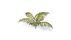 Gamers Grass Full Color Laser Cut Plants Bracken For Bases (22) Per Pack GGLP-GB