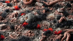 Gamers Grass Basing Bits Alien Infestation For Wargaming Miniature Bases GGBB-AI