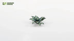 Gamers Grass Full Color Laser Cut Plants Blue Agave (69) Per Pack - GGLP-BA