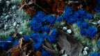 Gamers Grass Wild Alien Blue 6mm Tufts For Wargaming Bases (70) Per Pack GGA-BL