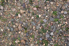 Geek Gaming Scenics Terrain To Fight Over Base Ready Scrublands Mix 250-BR-SCRUB