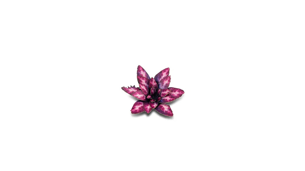 Gamers Grass Full Color Laser Cut Plants Alien Rosette (47) Per Pack GGLP-AR