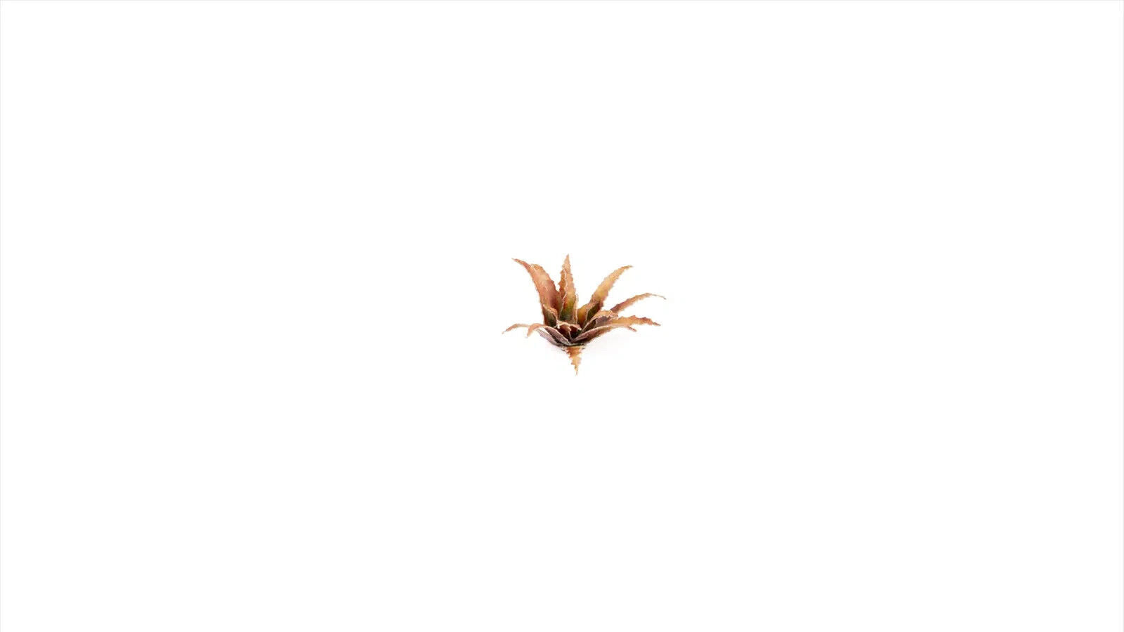Gamers Grass Full Color Laser Cut Plants Red Aloe For Bases 96 Per Pack GGLP-RA