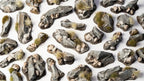 Gamers Grass Basing Bits Range Rocks For Wargaming Miniature Model Bases GGBB-RO