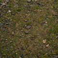 Geek Gaming Scenics Terrain Base Ready Patchy Plains Mixture Tub - 250-BR-PPLAINS