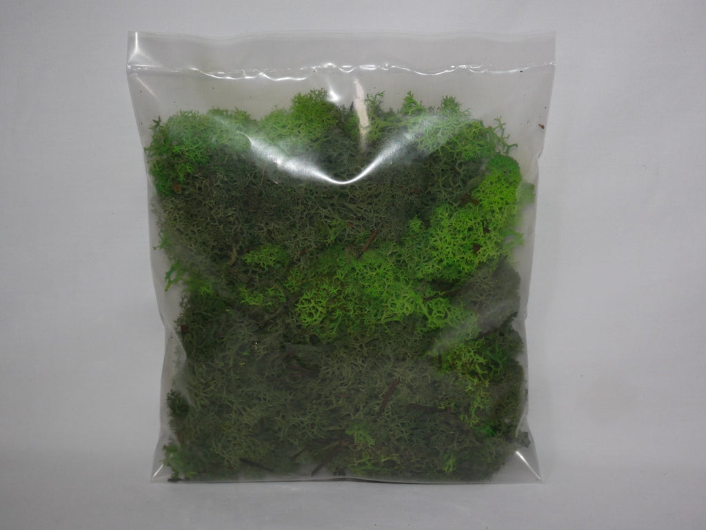 Javis Countryside Scenics Bulk Pack Of Green Lichen - JBULKG