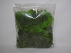 Javis Countryside Scenics Bulk Pack Of Green Lichen - JBULKG
