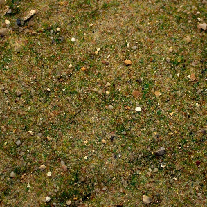 Geek Gaming Scenics Terrain Base Ready Mediterranean Soil Mix  - 250-BR-MEDSOIL