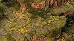 Gamers Grass Dandelion Tiny Flowers Grass Tufts For Bases 370x Per Pack GGFS-DAN
