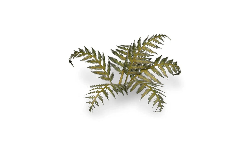 Gamers Grass Full Color Laser Cut Plants Bracken For Bases (22) Per Pack GGLP-GB