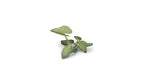 Gamers Grass Full Color Laser Cut Plants Elephant Ear (51) Per Pack GGLP-EE