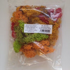 Javis Countryside Scenics Bulk Pack Of Mixed Colour Lichen - JBULKMC