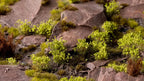 Gamers Grass Wild Green Shrubs For Wargaming Miniature Bases 70 Per Pack GGS-GR