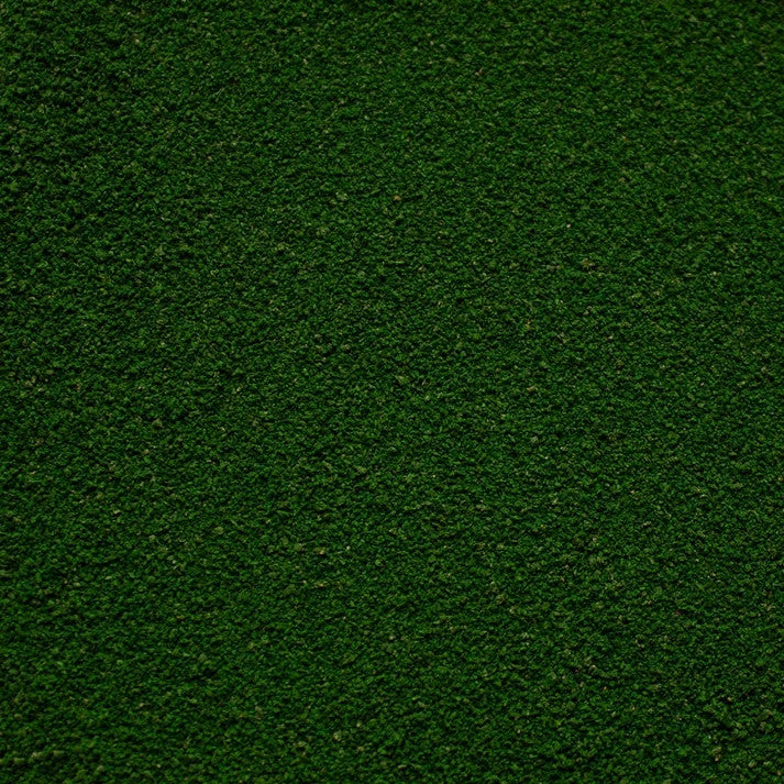 Geek Gaming Scenics Woodland Fern Mid Green Fine Modeling Flock - GGFF-WF2-300