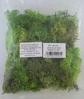 Javis Countryside Scenics Bulk Pack Of Green Lichen - JBULKG
