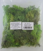 Javis Countryside Scenics Bulk Pack Of Green Lichen - JBULKG