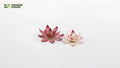 Gamers Grass Full Color Laser Cut Plants Lotus Flower (42) Per Pack - GGLP-LF