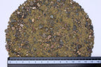 Geek Gaming Scenics Terrain Base Ready Realistic Wasteland Soil 250-BR-WASTESOIL