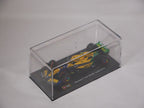Burago 1:43 McLaren MCL38 Monaco Grand Prix 2024 No.4 Lando Norris - #18-38215NS