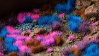 Gamers Grass Wild Mystic Nebulae Tuft Set For Wargaming Bases (140) Per Pack - GGSET-MN