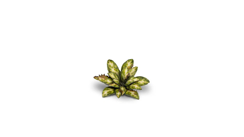 Gamers Grass Full Color Laser Cut Plants Dumb Cane For Bases 47 Per Pack GGLP-DC