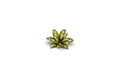Gamers Grass Full Color Laser Cut Plants Dumb Cane For Bases 47 Per Pack GGLP-DC