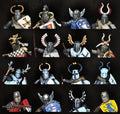 Victrix Ltd 28mm Hard Plastic Medieval & Fantasy Heads, Cloaks & Shields VXE002