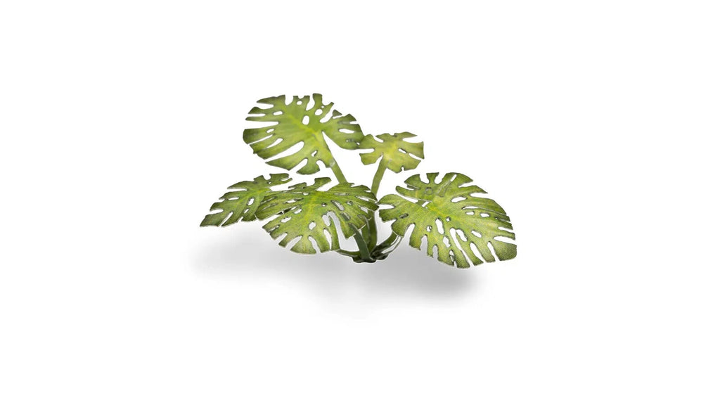 Gamers Grass Full Color Laser Cut Plants Monstera For Bases 47 Per Pack GGLP-MT