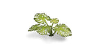 Gamers Grass Full Color Laser Cut Plants Monstera For Bases 47 Per Pack GGLP-MT