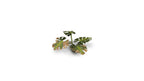 Gamers Grass Full Color Laser Cut Plants Monstera For Bases 47 Per Pack GGLP-MT