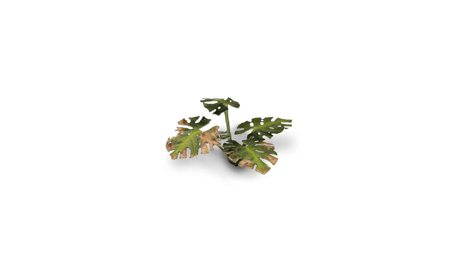 Gamers Grass Full Color Laser Cut Plants Monstera For Bases 47 Per Pack GGLP-MT